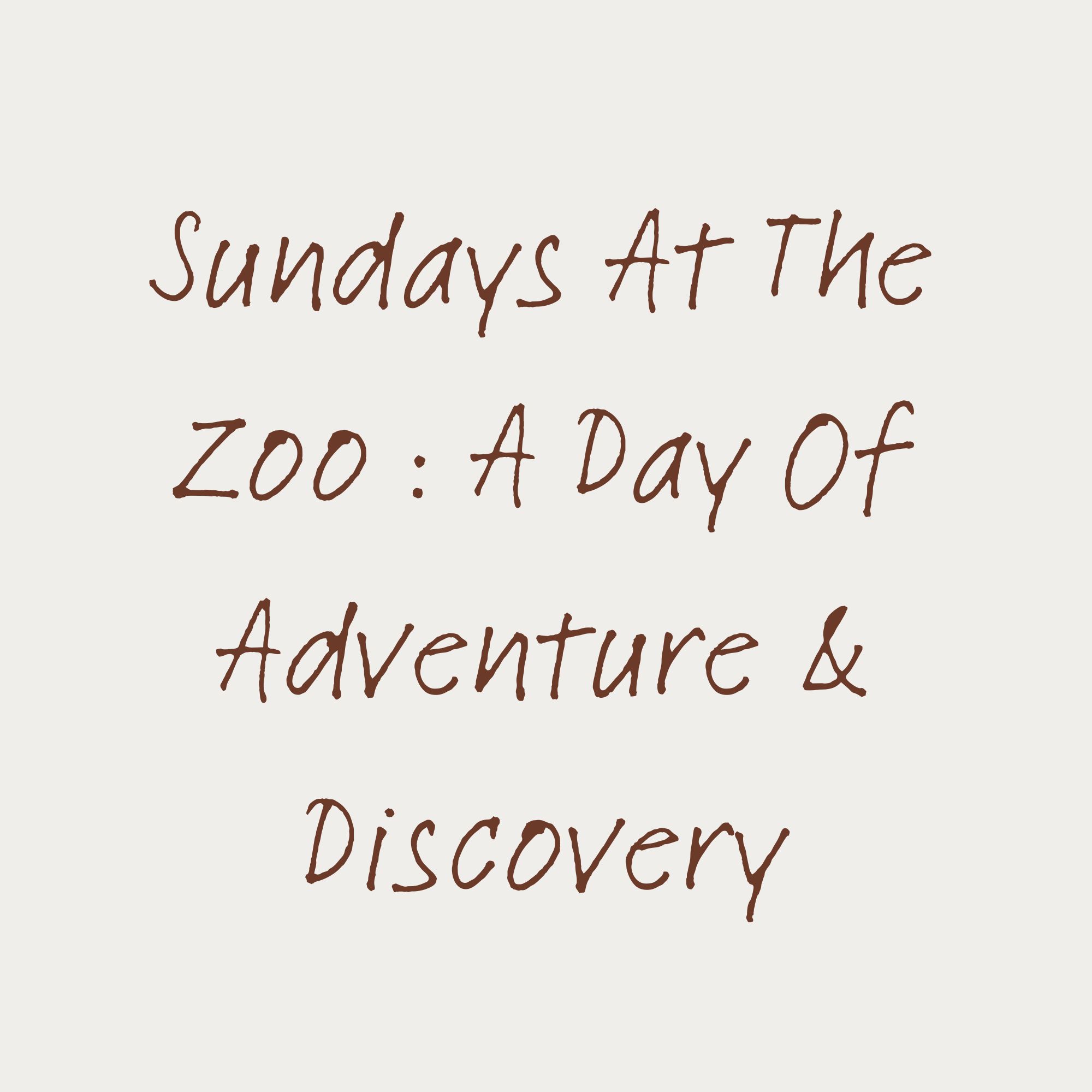 Sundays at the Zoo : A Day of Adventure and Discovery