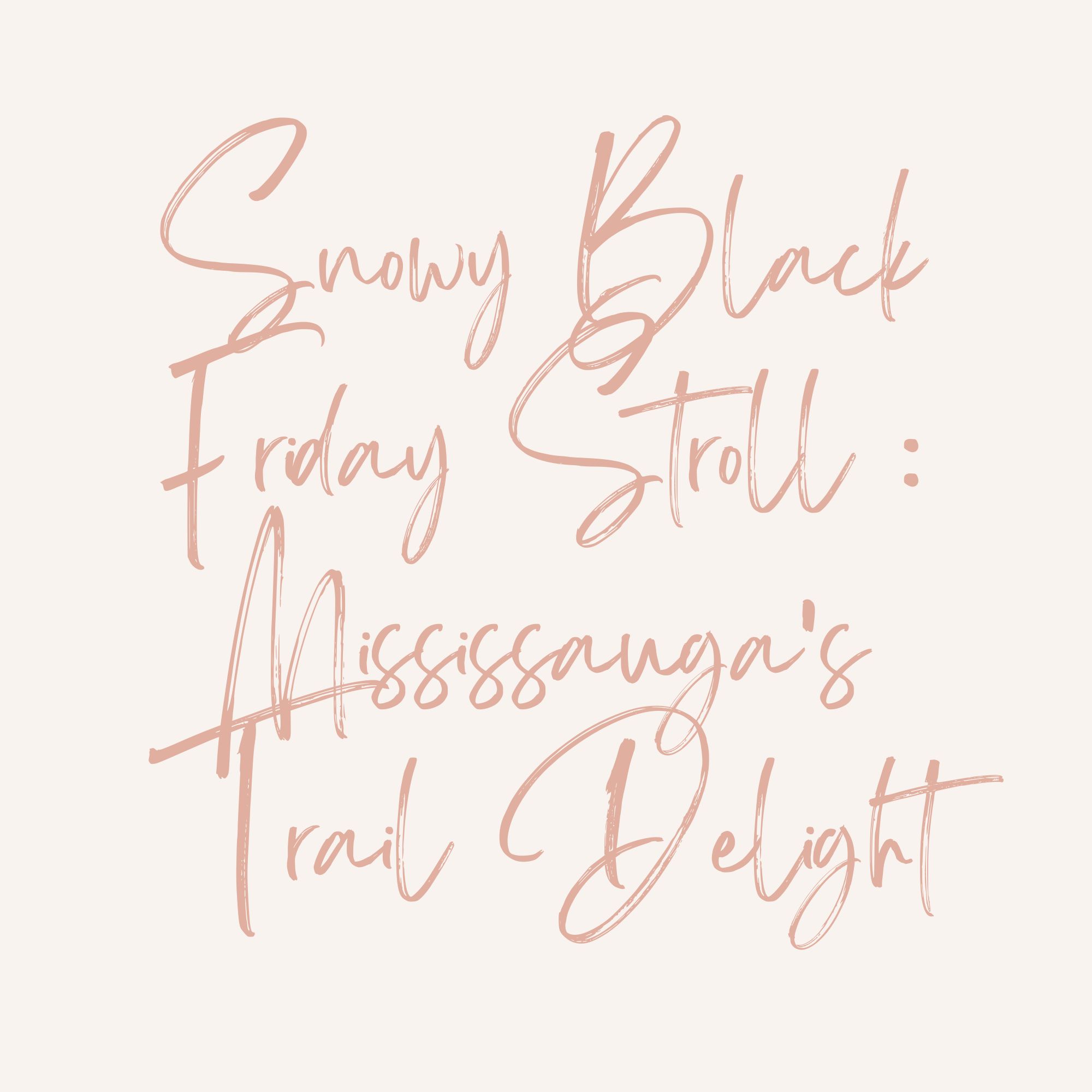 Snowy Black Friday Stroll – Mississauga’s Trail Delight