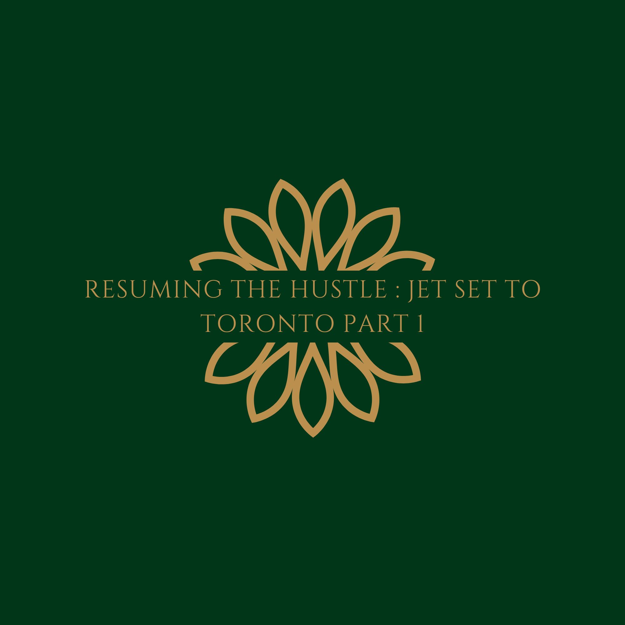 Resuming The Hustle : Jet Set To Toronto : Part 1
