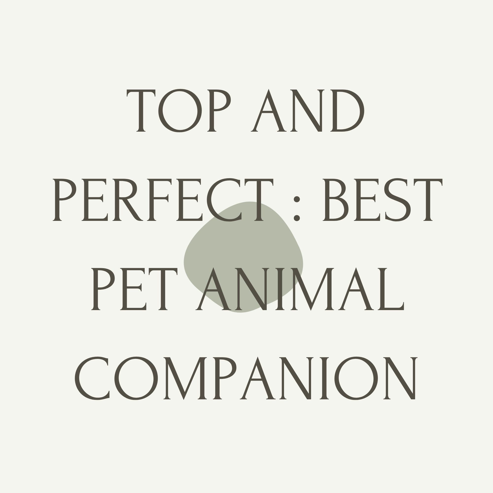 Top And Perfect : Best Pet Animal Companion