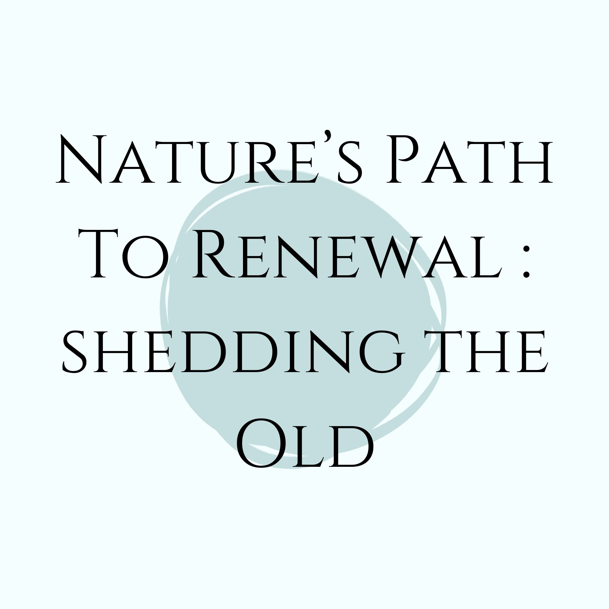 Nature’s Path to Renewal: Shedding the Old
