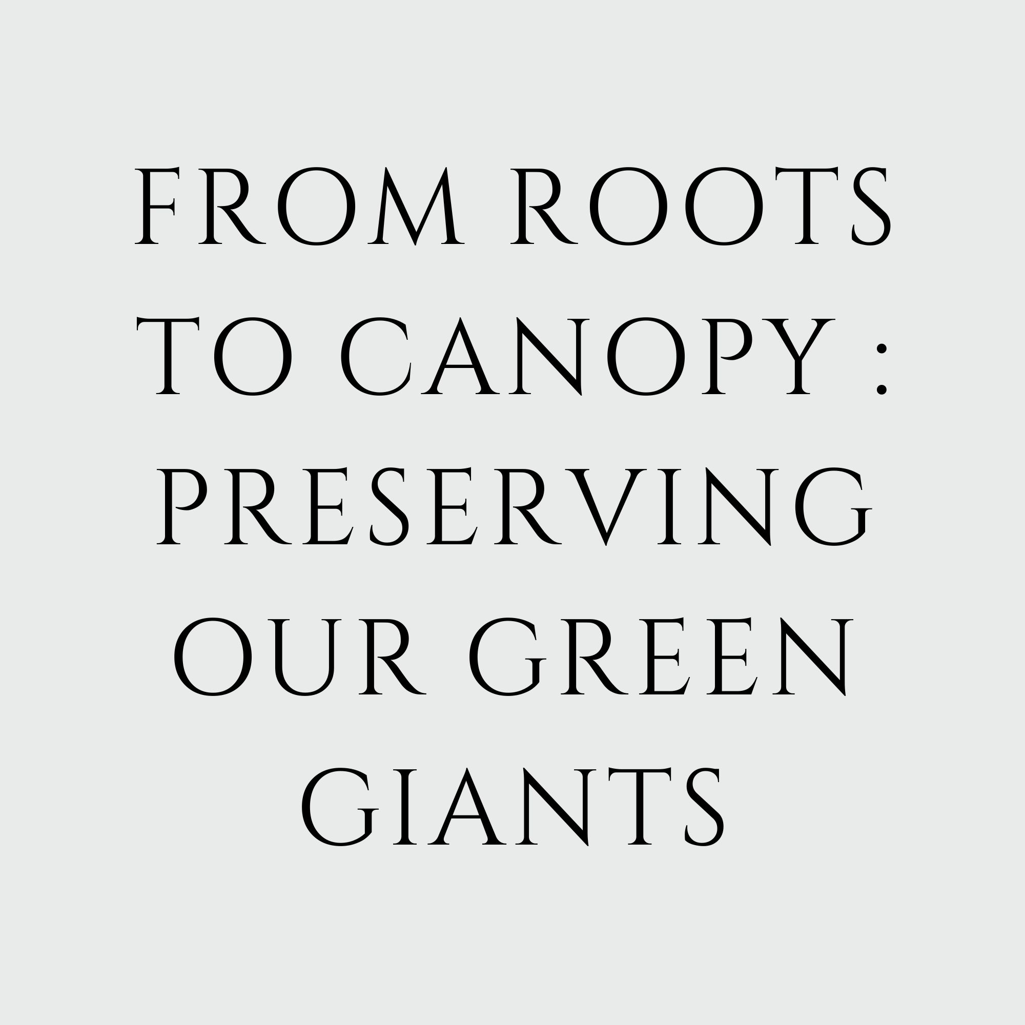 From Roots to Canopy: Preserving Our Green Giants