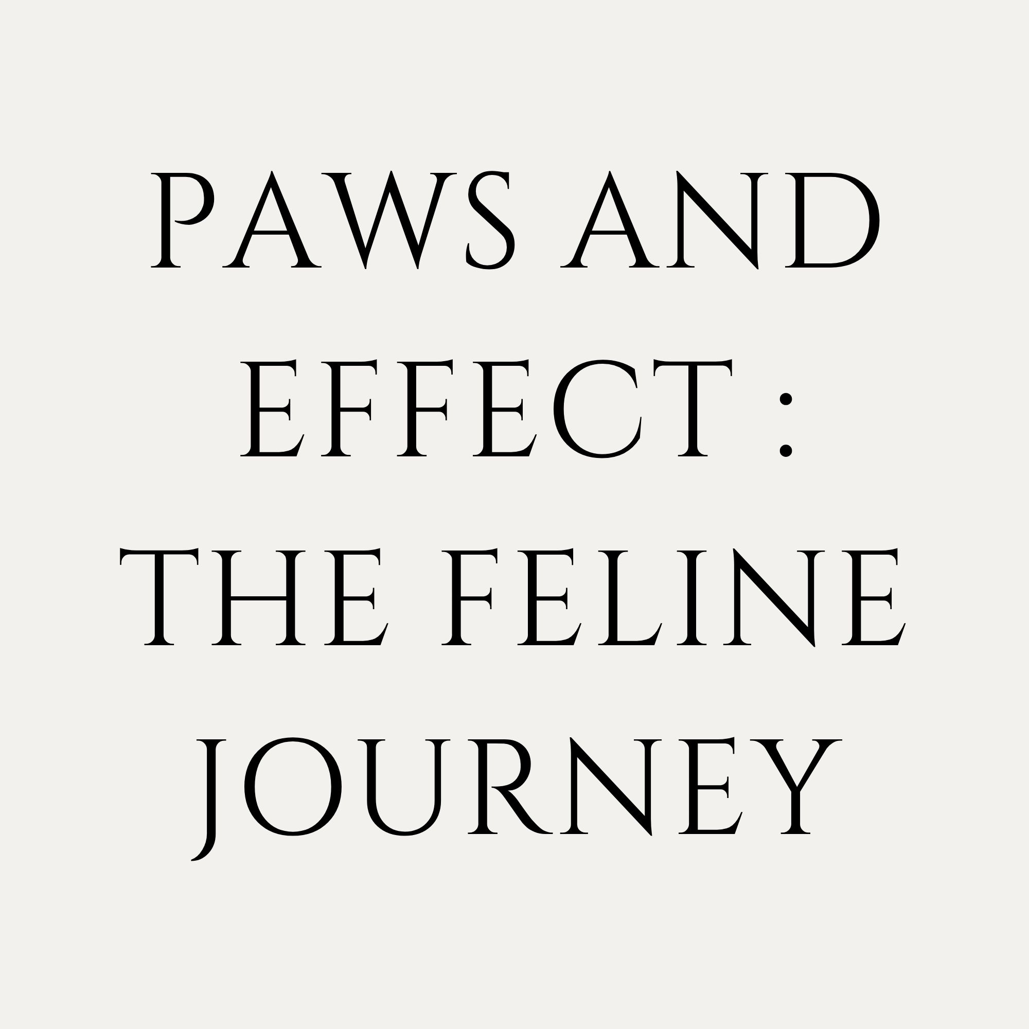 Paws And Effect : Feline Zoom Takeover