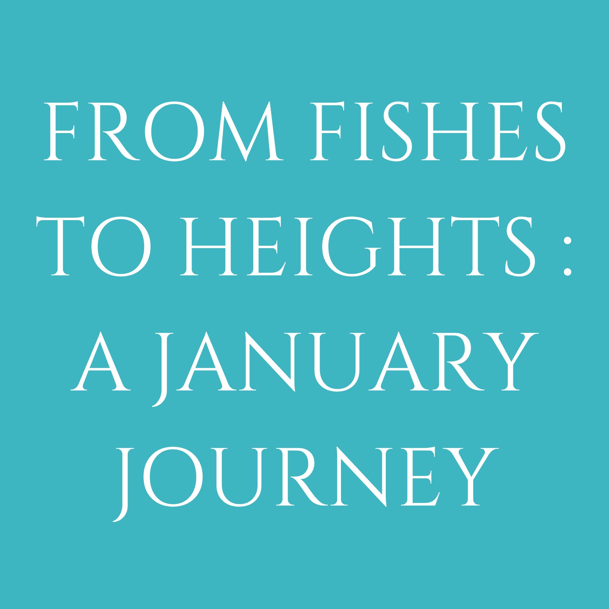 From Fishes To Heights : A January Journey