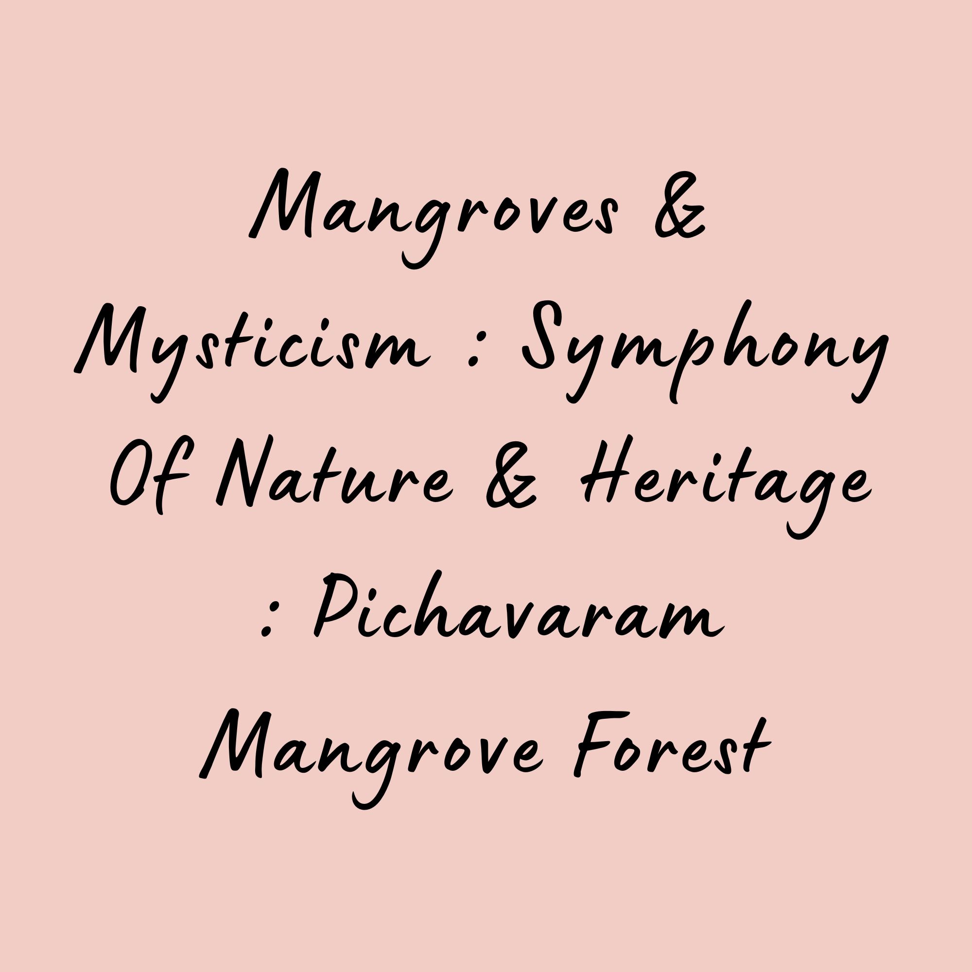 Mangroves & Mysticism : Symphony Of Nature & Heritage