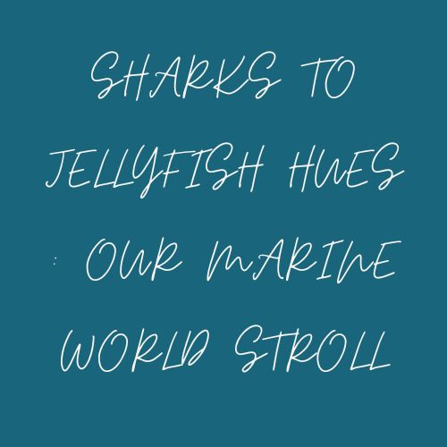 Sharks to Jellyfish Hues : Our Marine World Stroll