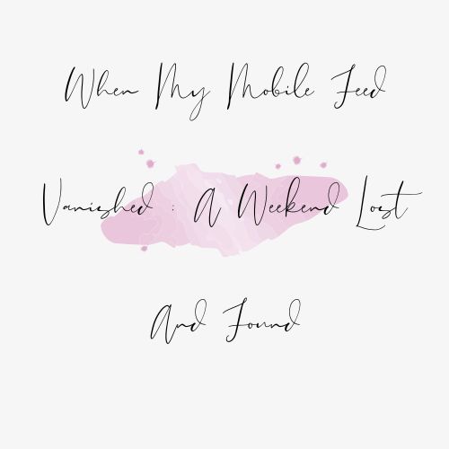 When My Mobile Feed Vanished : A Weekend Lost And Found