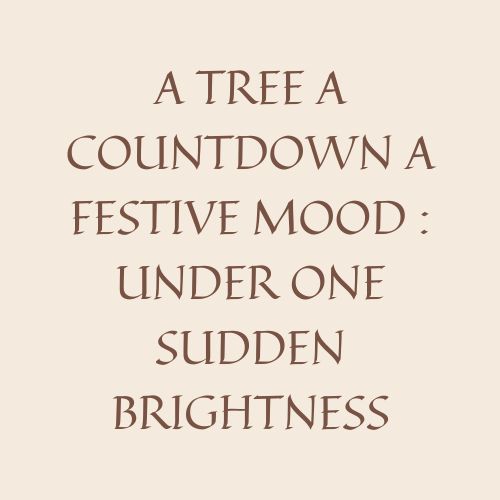 A Tree A Countdown A Festive Mood : Under One Sudden Brightness