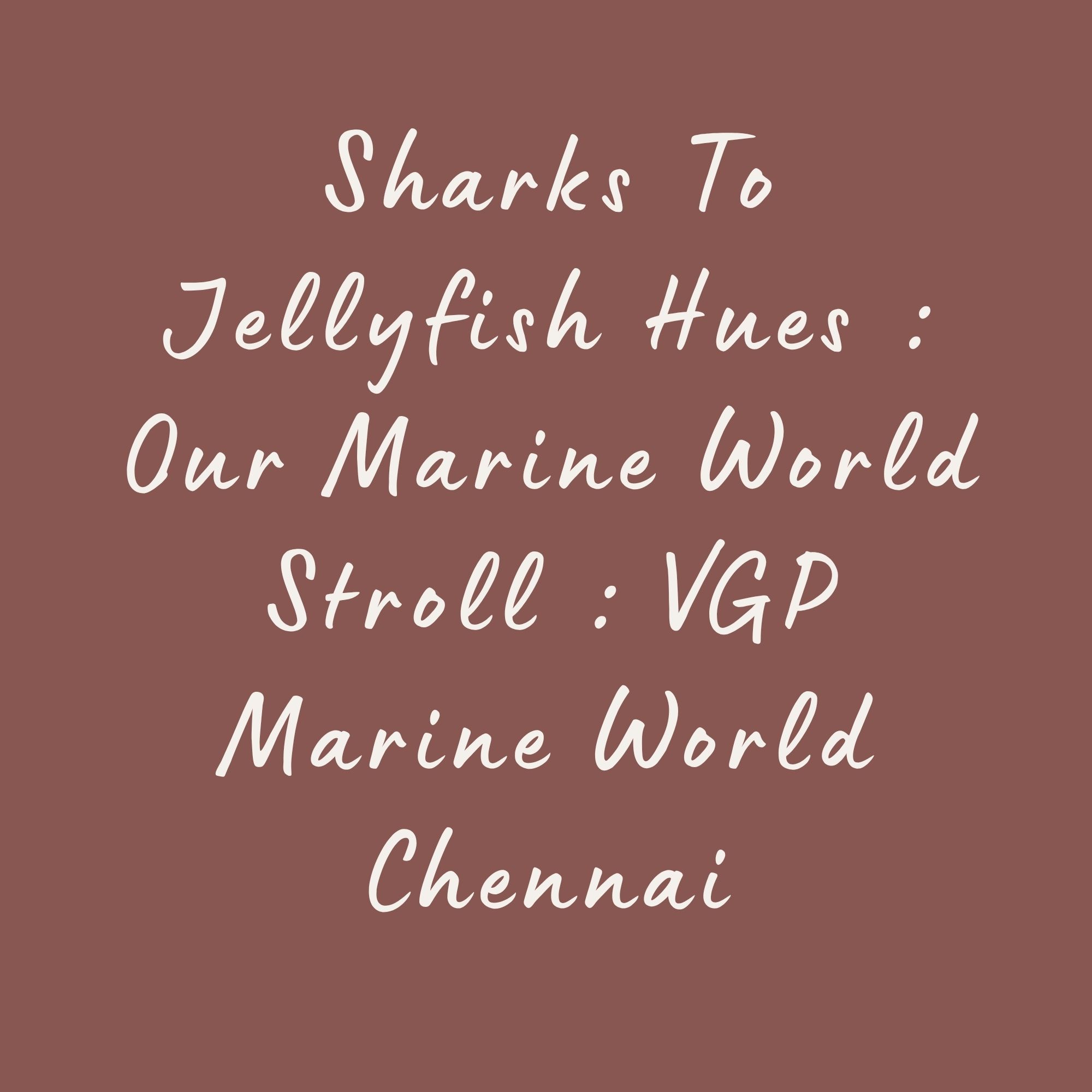 Sharks to Jellyfish Hues : Our Marine World Stroll