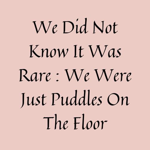 We Had No Idea It Was Rare : We Were Just Puddles On The Floor