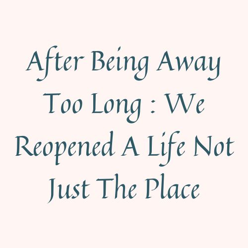 After Being Away Too Long : We Reopened A Life Not Just The Place