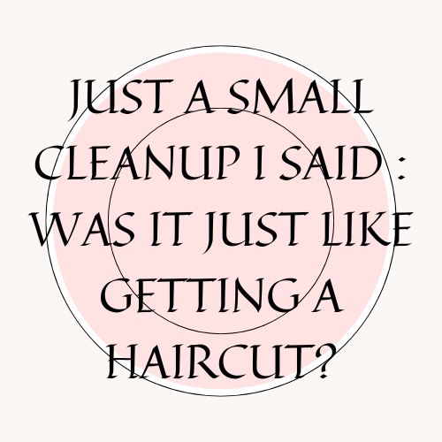Just A Small Cleanup I Said : Was It Just Like Getting A Haircut?