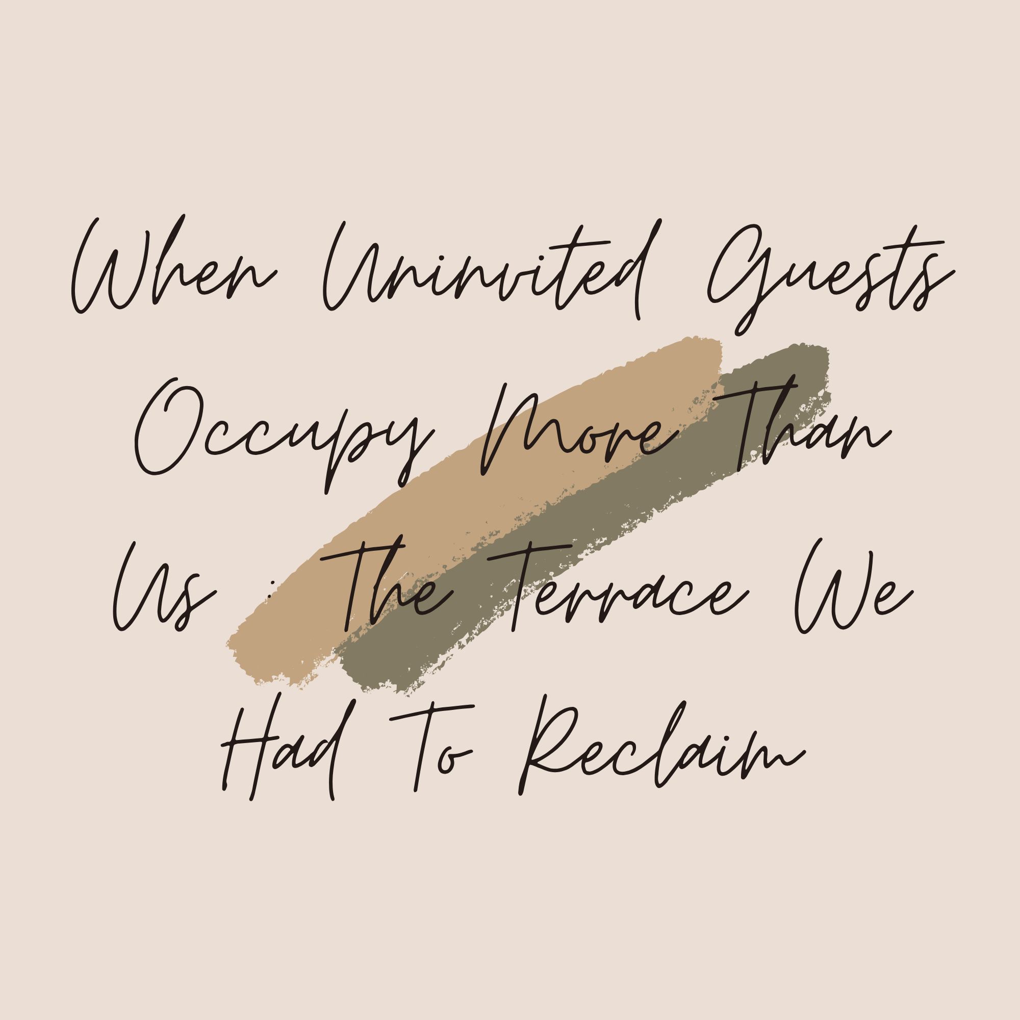 When Uninvited Guests Occupy More Than Us : The Terrace We Had To Reclaim