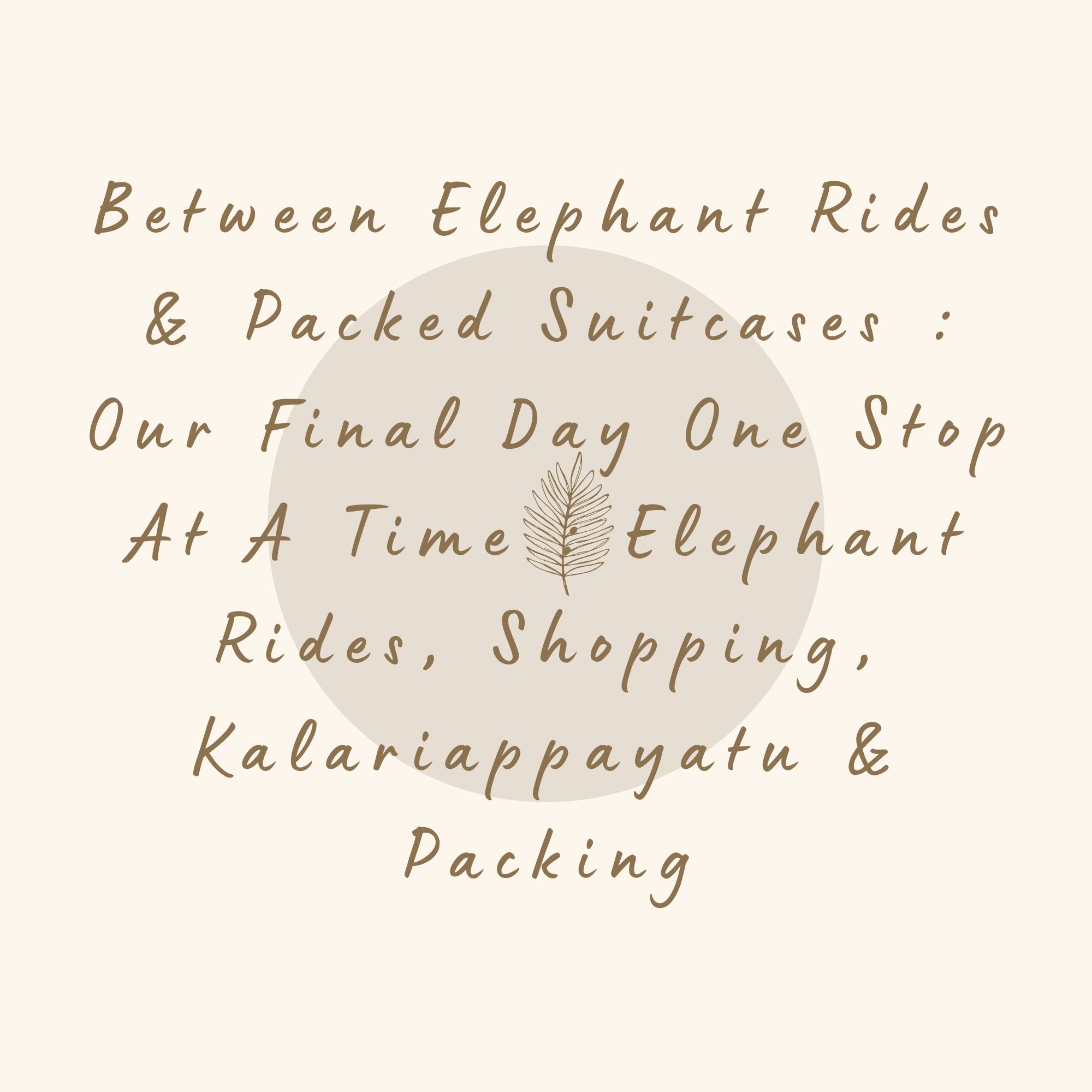 Between Elephant Rides & Packed Suitcases : Our Final Day One Stop At A Time